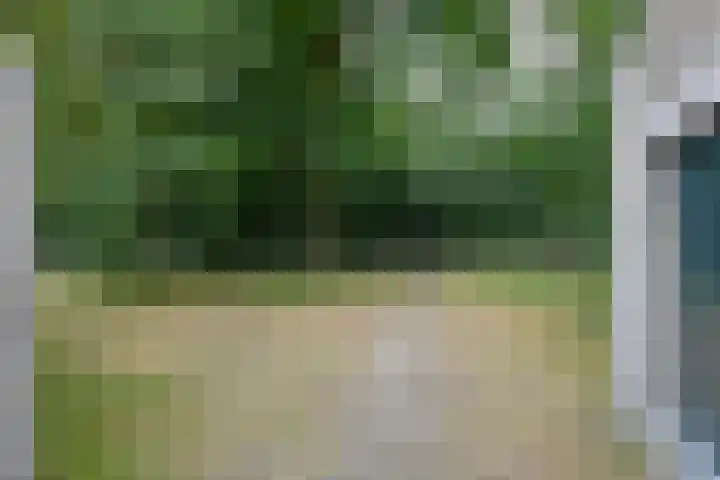 Vennenbos 158 Hapert thumbnail 21