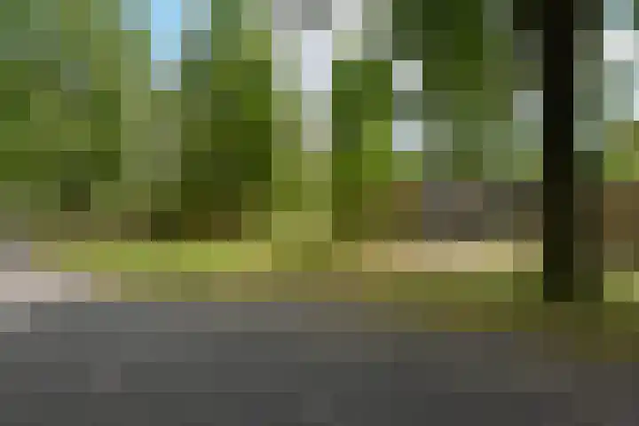 Vennenbos 158 Hapert thumbnail 22
