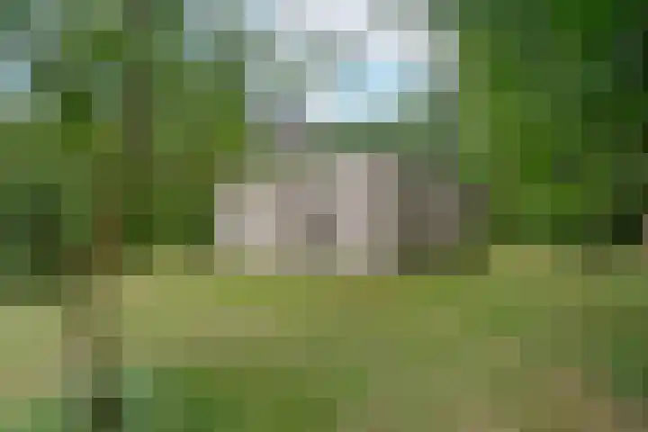 Vennenbos 158 Hapert thumbnail 23