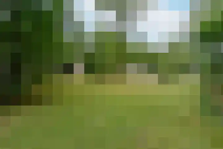 Vennenbos 158 Hapert thumbnail 24