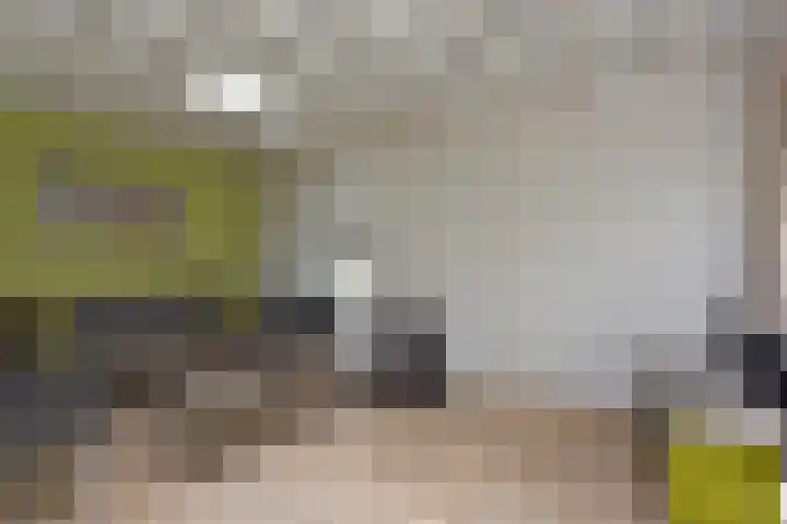 Vennenbos 158 Hapert thumbnail 4