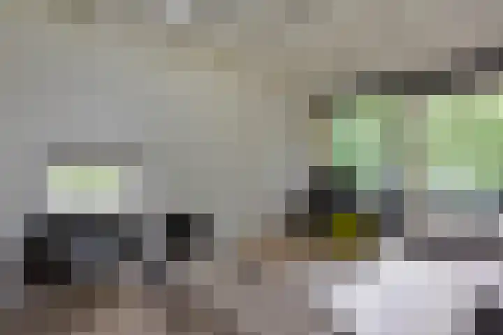 Vennenbos 158 Hapert thumbnail 5