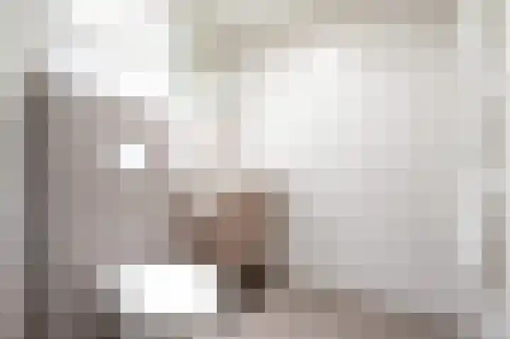 Vennenbos 229 Hapert thumbnail 15