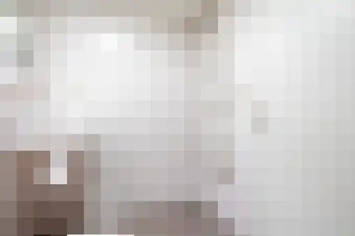 Vennenbos 229 Hapert thumbnail 16