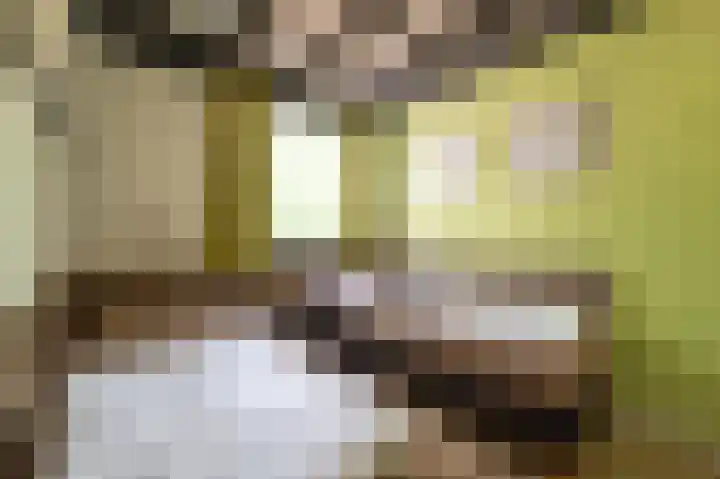 Vennenbos 229 Hapert thumbnail 17