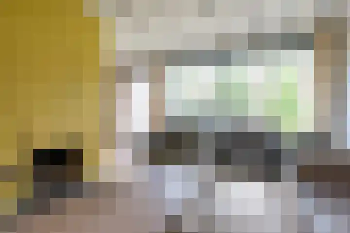 Vennenbos 229 Hapert thumbnail 7