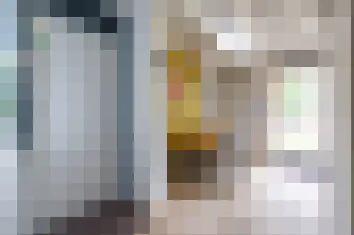 Vennenbos 229 Hapert thumbnail 9