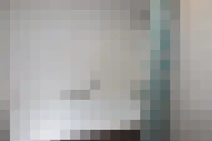 Vennenbos 286 Hapert thumbnail 11