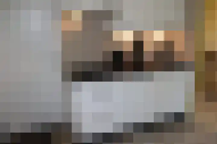 Vennenbos 286 Hapert thumbnail 5