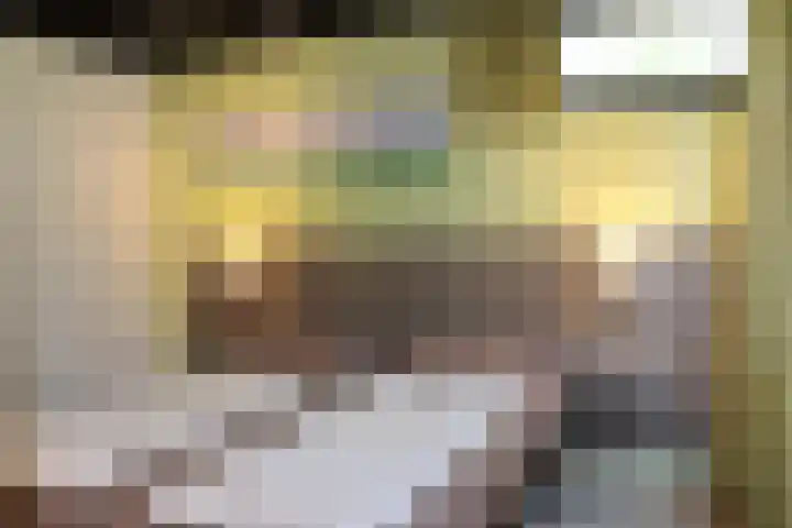 Vennenbos 286 Hapert thumbnail 7
