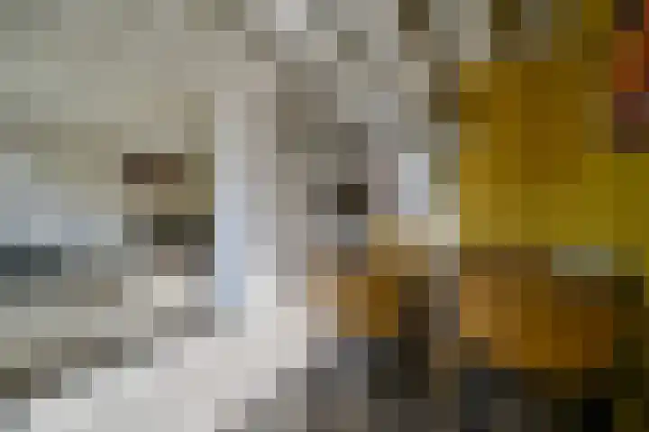 Vennenbos 309 Hapert thumbnail 10