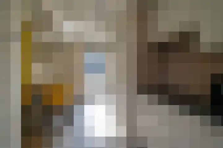 Vennenbos 309 Hapert thumbnail 13