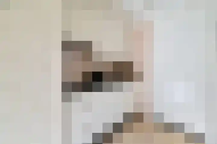 Vennenbos 309 Hapert thumbnail 14