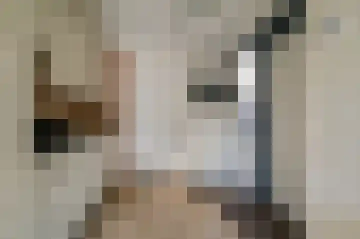 Vennenbos 309 Hapert thumbnail 15