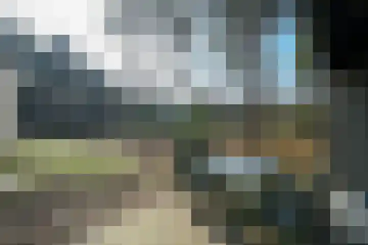 Vennenbos 309 Hapert thumbnail 21