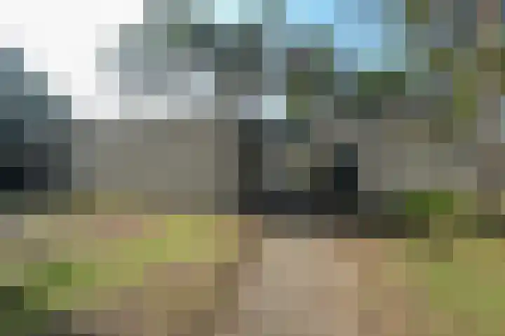Vennenbos 309 Hapert thumbnail 22