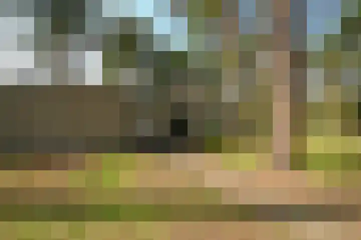 Vennenbos 309 Hapert thumbnail 23