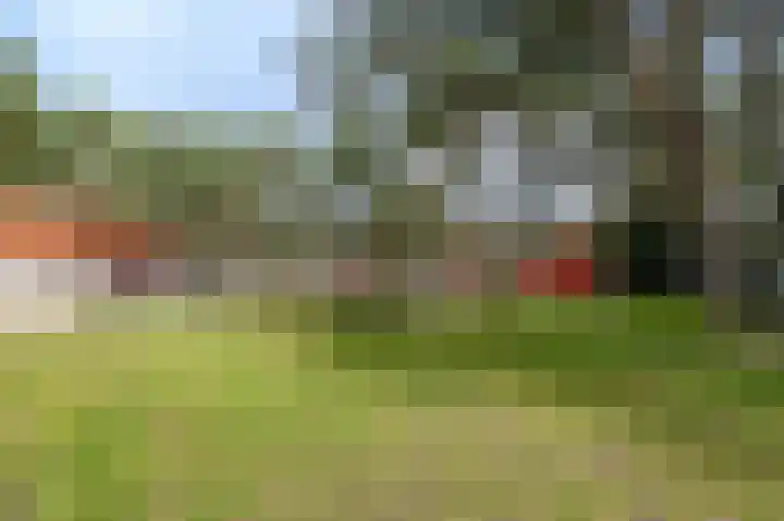 Vennenbos 309 Hapert thumbnail 25