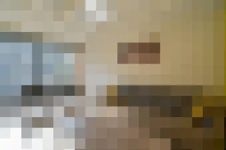 Vennenbos 309 Hapert thumbnail 4