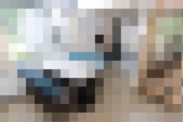 Vennenbos 428 Hapert thumbnail 10