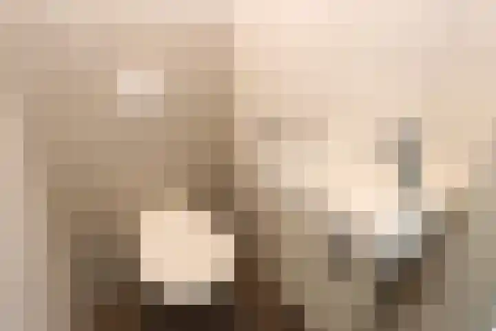 Vennenbos 428 Hapert thumbnail 13