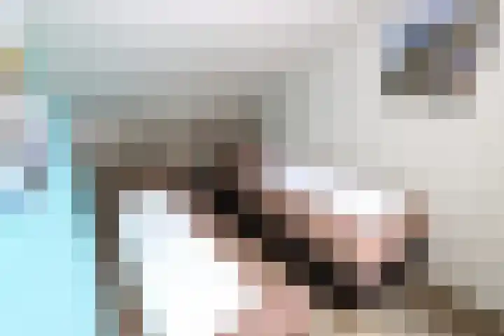 Vennenbos 428 Hapert thumbnail 16