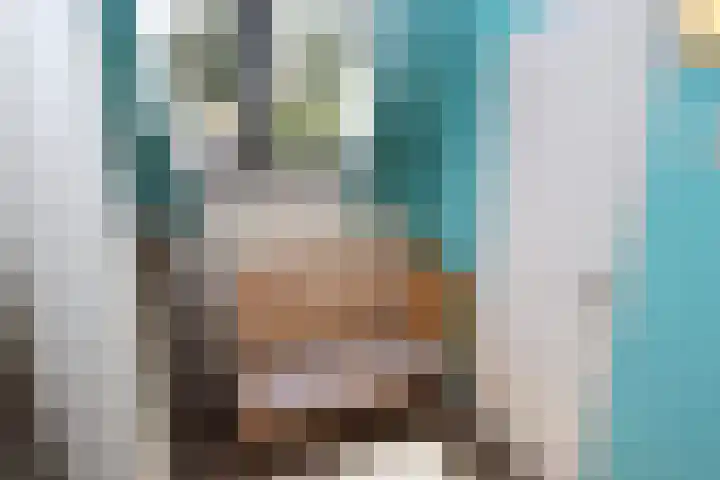 Vennenbos 428 Hapert thumbnail 17
