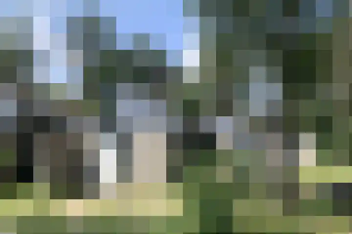 Vennenbos 428 Hapert thumbnail 4