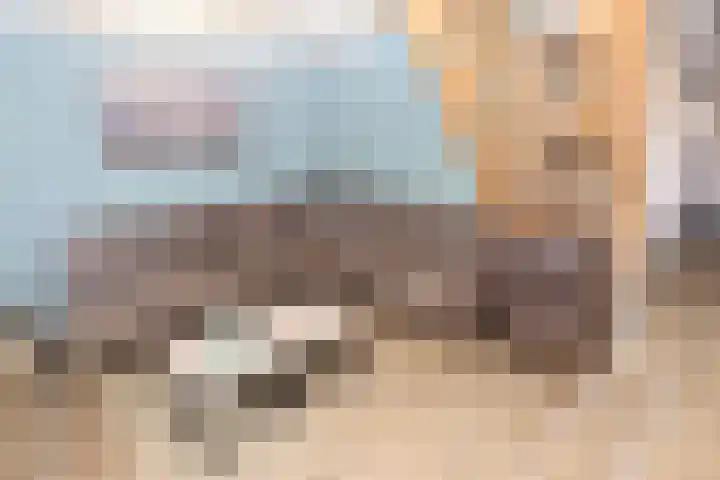 Vennenbos 428 Hapert thumbnail 7