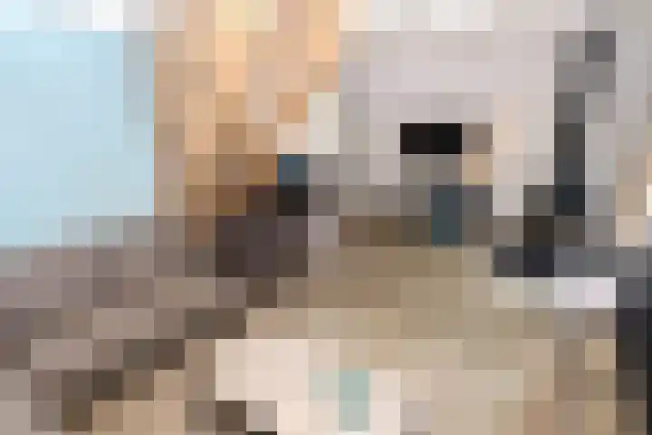 Vennenbos 428 Hapert thumbnail 8