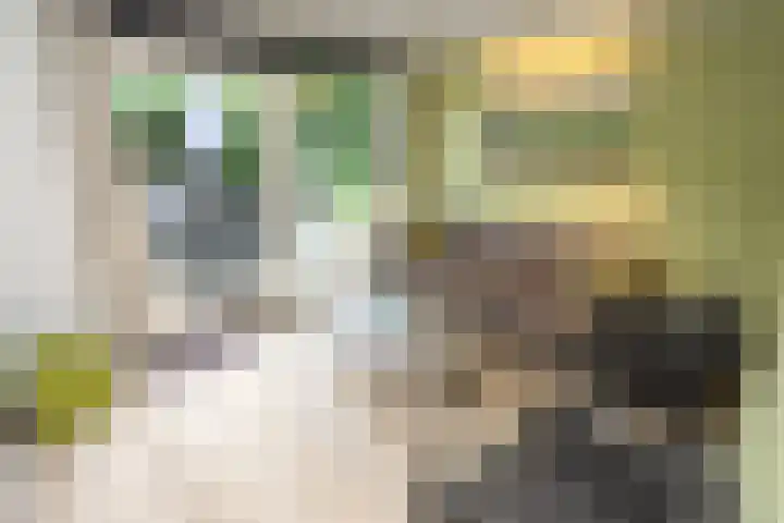 Vennenbos 639 Hapert thumbnail 4