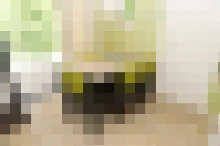 Vennenbos 639 Hapert thumbnail 7
