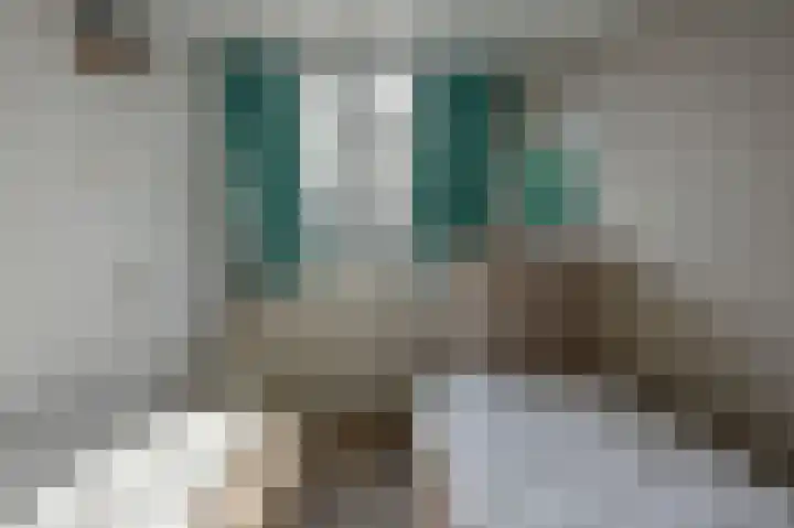 Vennenbos 661 Hapert thumbnail 17