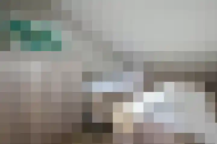 Vennenbos 661 Hapert thumbnail 18