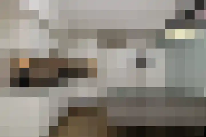 Vennenbos 822 Hapert thumbnail 10