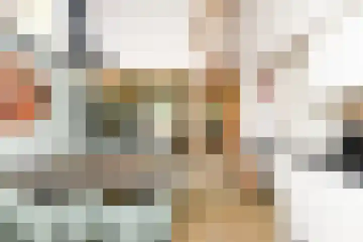 Vennenbos 822 Hapert thumbnail 14