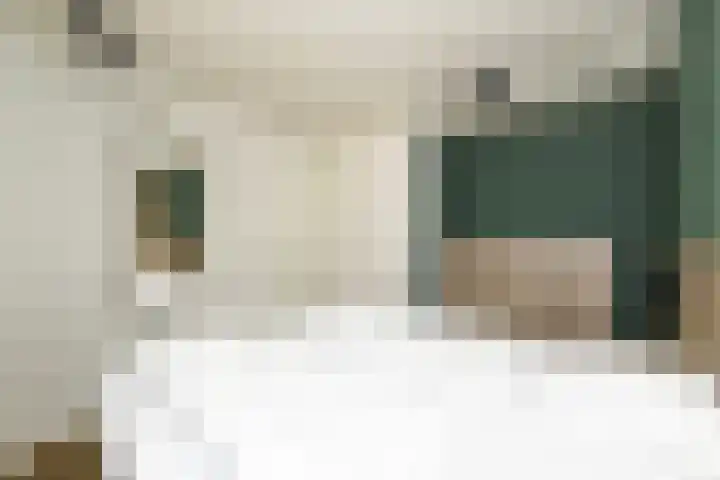 Vennenbos 822 Hapert thumbnail 16