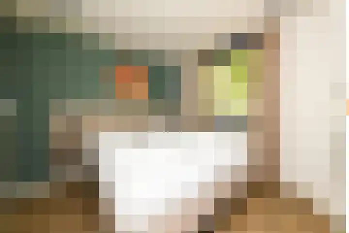 Vennenbos 822 Hapert thumbnail 17