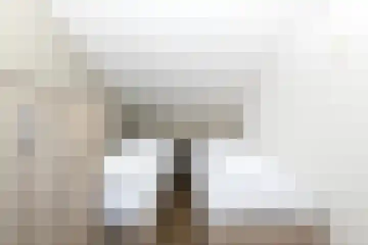 Vennenbos 822 Hapert thumbnail 21