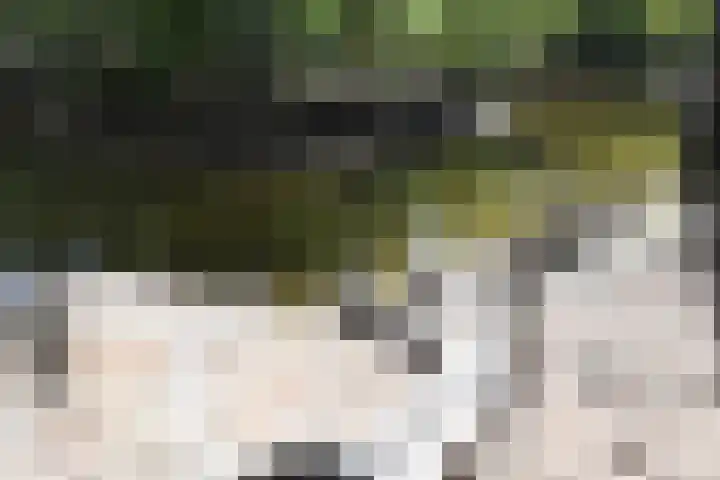 Vennenbos 822 Hapert thumbnail 28