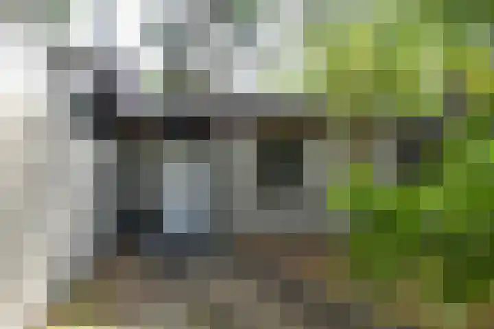 Vennenbos 822 Hapert thumbnail 4