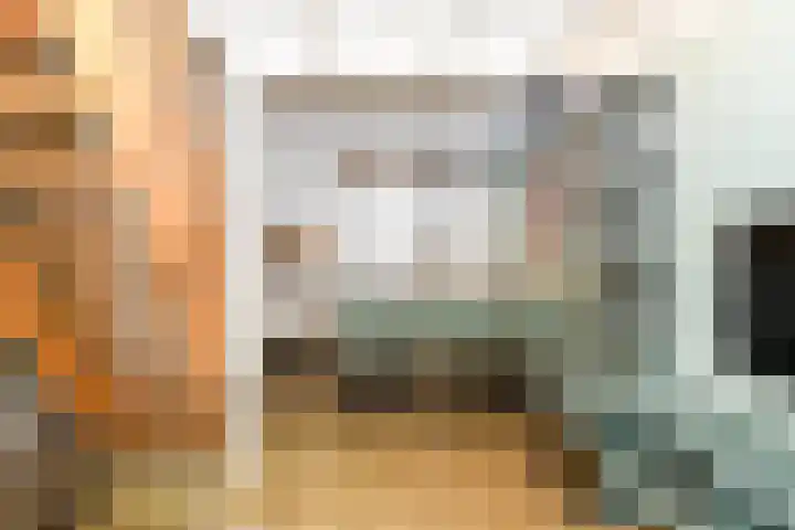 Vennenbos 822 Hapert thumbnail 7
