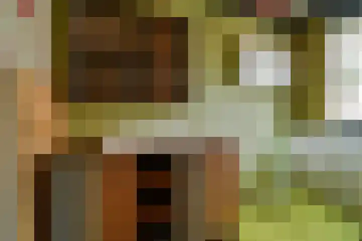 Vennenbos 848 Hapert thumbnail 13
