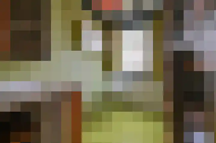 Vennenbos 848 Hapert thumbnail 14