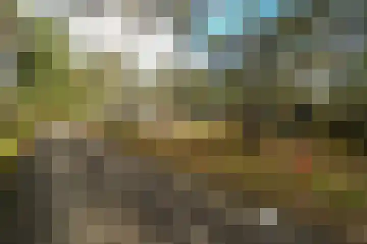 Vennenbos 848 Hapert thumbnail 17