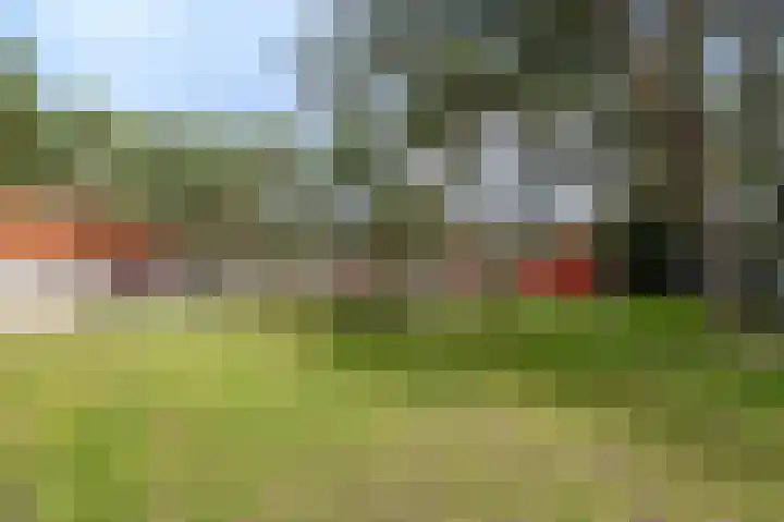 Vennenbos 848 Hapert thumbnail 19