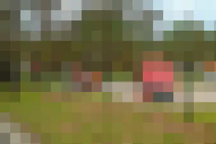 Vennenbos 848 Hapert thumbnail 20