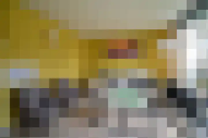 Vennenbos 848 Hapert thumbnail 4