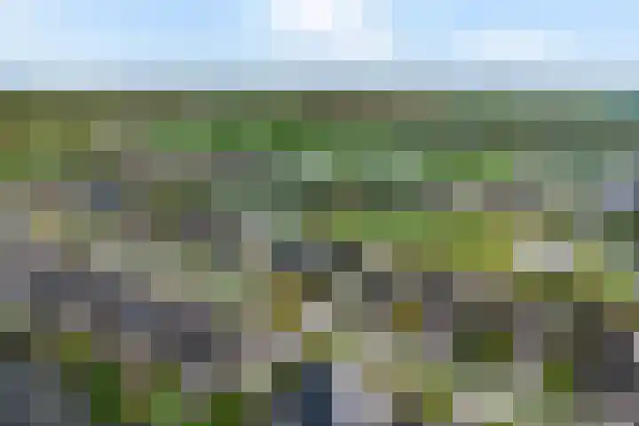 Vennendal 12 Lelystad thumbnail 52