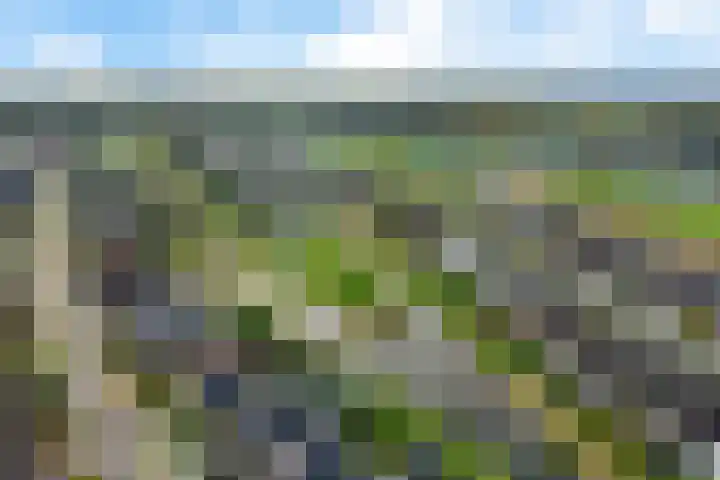 Vennendal 12 Lelystad thumbnail 56